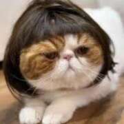 ヒメ日記 2025/07/02 18:12 投稿 麻子 出会い系人妻ネットワーク札幌駅～大通り・すすきの編