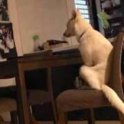 ヒメ日記 2025/07/15 16:09 投稿 麻子 出会い系人妻ネットワーク札幌駅～大通り・すすきの編