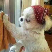 ヒメ日記 2025/07/28 16:24 投稿 麻子 出会い系人妻ネットワーク札幌駅～大通り・すすきの編