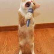 ヒメ日記 2025/08/10 19:15 投稿 麻子 出会い系人妻ネットワーク札幌駅～大通り・すすきの編