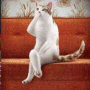 ヒメ日記 2025/08/11 14:48 投稿 麻子 出会い系人妻ネットワーク札幌駅～大通り・すすきの編