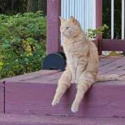 ヒメ日記 2025/08/12 18:39 投稿 麻子 出会い系人妻ネットワーク札幌駅～大通り・すすきの編