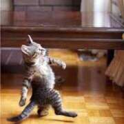 ヒメ日記 2025/08/14 14:09 投稿 麻子 出会い系人妻ネットワーク札幌駅～大通り・すすきの編