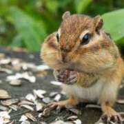 ヒメ日記 2025/08/20 17:15 投稿 麻子 出会い系人妻ネットワーク札幌駅～大通り・すすきの編