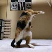 ヒメ日記 2025/08/21 14:06 投稿 麻子 出会い系人妻ネットワーク札幌駅～大通り・すすきの編