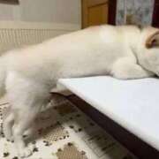 ヒメ日記 2025/08/22 19:21 投稿 麻子 出会い系人妻ネットワーク札幌駅～大通り・すすきの編