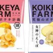 ヒメ日記 2025/08/23 15:15 投稿 麻子 出会い系人妻ネットワーク札幌駅～大通り・すすきの編