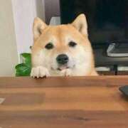 ヒメ日記 2025/08/24 18:30 投稿 麻子 出会い系人妻ネットワーク札幌駅～大通り・すすきの編