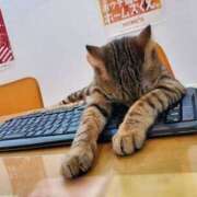 ヒメ日記 2025/08/25 22:09 投稿 麻子 出会い系人妻ネットワーク札幌駅～大通り・すすきの編