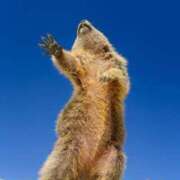 ヒメ日記 2025/08/26 17:06 投稿 麻子 出会い系人妻ネットワーク札幌駅～大通り・すすきの編