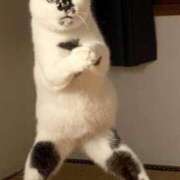 ヒメ日記 2025/09/02 16:09 投稿 麻子 出会い系人妻ネットワーク札幌駅～大通り・すすきの編