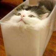 ヒメ日記 2025/09/04 18:03 投稿 麻子 出会い系人妻ネットワーク札幌駅～大通り・すすきの編