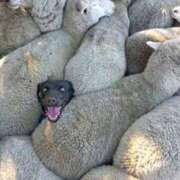 ヒメ日記 2025/09/05 16:21 投稿 麻子 出会い系人妻ネットワーク札幌駅～大通り・すすきの編