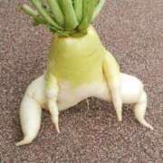 ヒメ日記 2025/09/06 17:51 投稿 麻子 出会い系人妻ネットワーク札幌駅～大通り・すすきの編