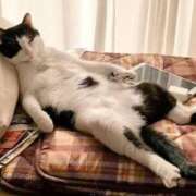 ヒメ日記 2025/09/06 21:42 投稿 麻子 出会い系人妻ネットワーク札幌駅～大通り・すすきの編