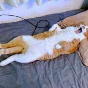 ヒメ日記 2025/09/10 21:30 投稿 麻子 出会い系人妻ネットワーク札幌駅～大通り・すすきの編