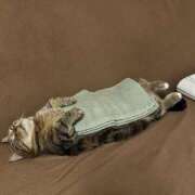 ヒメ日記 2025/09/11 20:15 投稿 麻子 出会い系人妻ネットワーク札幌駅～大通り・すすきの編