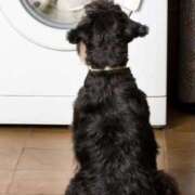 ヒメ日記 2025/09/12 10:21 投稿 麻子 出会い系人妻ネットワーク札幌駅～大通り・すすきの編