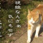 ヒメ日記 2025/09/25 17:54 投稿 麻子 出会い系人妻ネットワーク札幌駅～大通り・すすきの編