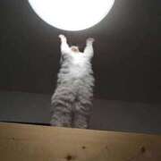 ヒメ日記 2025/10/02 14:12 投稿 麻子 出会い系人妻ネットワーク札幌駅～大通り・すすきの編