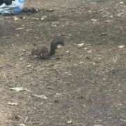 ヒメ日記 2025/10/04 13:33 投稿 麻子 出会い系人妻ネットワーク札幌駅～大通り・すすきの編