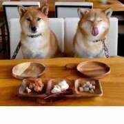 ヒメ日記 2025/11/01 17:34 投稿 麻子 出会い系人妻ネットワーク札幌駅～大通り・すすきの編