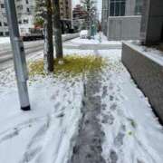 ヒメ日記 2025/11/08 16:48 投稿 麻子 出会い系人妻ネットワーク札幌駅～大通り・すすきの編