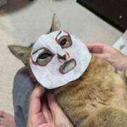 麻子 [お題]from:おススメ教えて！さん 出会い系人妻ネットワーク札幌駅～大通り・すすきの編