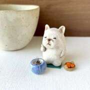 ヒメ日記 2025/12/04 09:42 投稿 麻子 出会い系人妻ネットワーク札幌駅～大通り・すすきの編