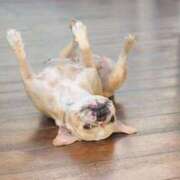 ヒメ日記 2025/12/12 11:49 投稿 麻子 出会い系人妻ネットワーク札幌駅～大通り・すすきの編