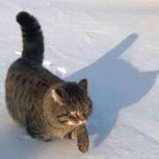 ヒメ日記 2025/12/22 10:33 投稿 麻子 出会い系人妻ネットワーク札幌駅～大通り・すすきの編