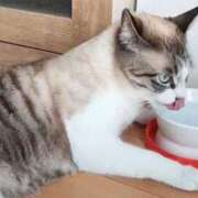 ヒメ日記 2026/01/05 11:49 投稿 麻子 出会い系人妻ネットワーク札幌駅～大通り・すすきの編