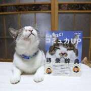 ヒメ日記 2026/01/09 12:48 投稿 麻子 出会い系人妻ネットワーク札幌駅～大通り・すすきの編