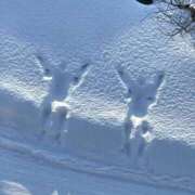 ヒメ日記 2026/01/18 17:04 投稿 麻子 出会い系人妻ネットワーク札幌駅～大通り・すすきの編