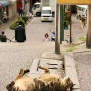 ヒメ日記 2026/02/03 23:42 投稿 麻子 出会い系人妻ネットワーク札幌駅～大通り・すすきの編