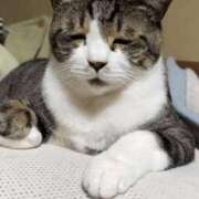 ヒメ日記 2026/02/04 19:34 投稿 麻子 出会い系人妻ネットワーク札幌駅～大通り・すすきの編