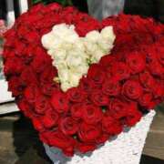 ヒメ日記 2026/02/05 12:14 投稿 麻子 出会い系人妻ネットワーク札幌駅～大通り・すすきの編