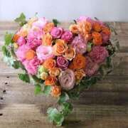 ヒメ日記 2026/02/14 17:19 投稿 麻子 出会い系人妻ネットワーク札幌駅～大通り・すすきの編