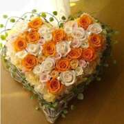 ヒメ日記 2026/02/16 13:19 投稿 麻子 出会い系人妻ネットワーク札幌駅～大通り・すすきの編