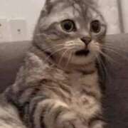 ヒメ日記 2026/02/16 17:12 投稿 麻子 出会い系人妻ネットワーク札幌駅～大通り・すすきの編