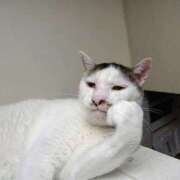 ヒメ日記 2026/02/22 16:19 投稿 麻子 出会い系人妻ネットワーク札幌駅～大通り・すすきの編