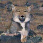 ヒメ日記 2026/02/24 18:19 投稿 麻子 出会い系人妻ネットワーク札幌駅～大通り・すすきの編