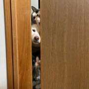 ヒメ日記 2026/02/25 15:34 投稿 麻子 出会い系人妻ネットワーク札幌駅～大通り・すすきの編