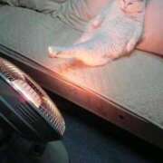 ヒメ日記 2026/02/25 23:09 投稿 麻子 出会い系人妻ネットワーク札幌駅～大通り・すすきの編