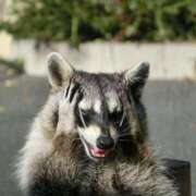 ヒメ日記 2026/03/10 15:49 投稿 麻子 出会い系人妻ネットワーク札幌駅～大通り・すすきの編