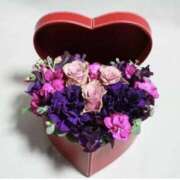 ヒメ日記 2026/03/12 13:42 投稿 麻子 出会い系人妻ネットワーク札幌駅～大通り・すすきの編