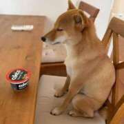 ヒメ日記 2026/03/12 21:19 投稿 麻子 出会い系人妻ネットワーク札幌駅～大通り・すすきの編