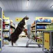 ヒメ日記 2026/03/17 14:20 投稿 麻子 出会い系人妻ネットワーク札幌駅～大通り・すすきの編