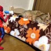 ヒメ日記 2026/03/18 18:20 投稿 麻子 出会い系人妻ネットワーク札幌駅～大通り・すすきの編