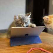 ヒメ日記 2026/03/21 18:34 投稿 麻子 出会い系人妻ネットワーク札幌駅～大通り・すすきの編